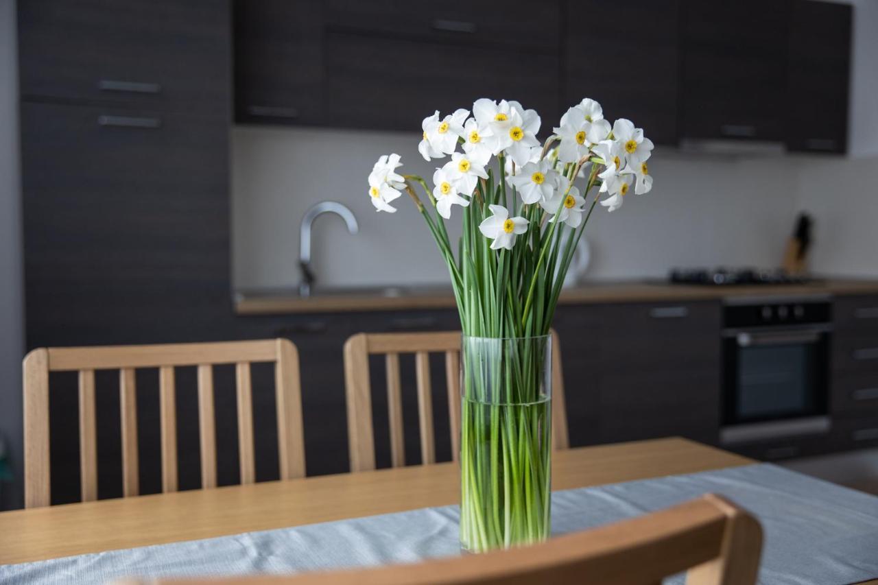 Apartman Ena Bjelovar Eksteriør bilde