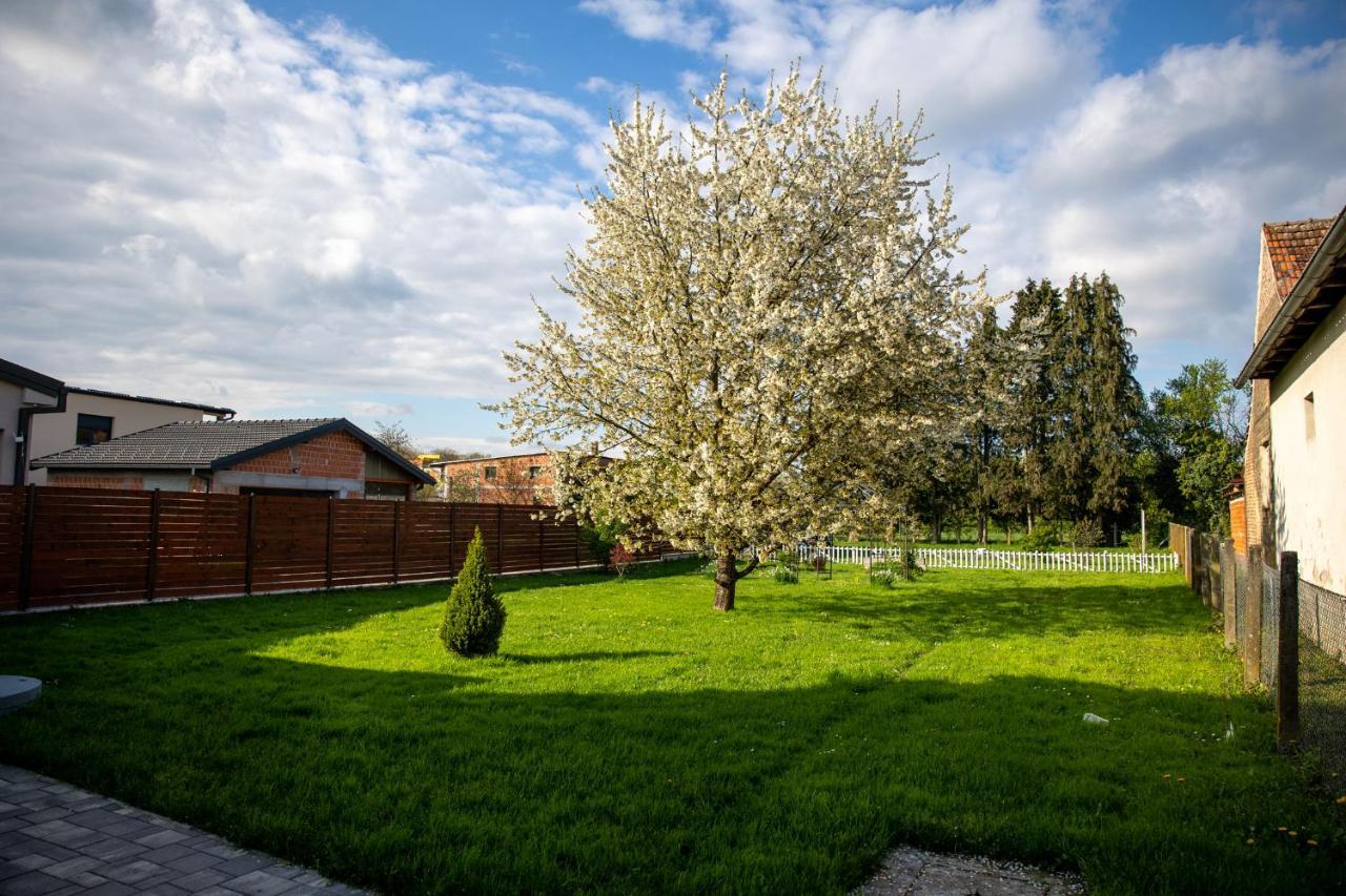 Apartman Ena Bjelovar Eksteriør bilde